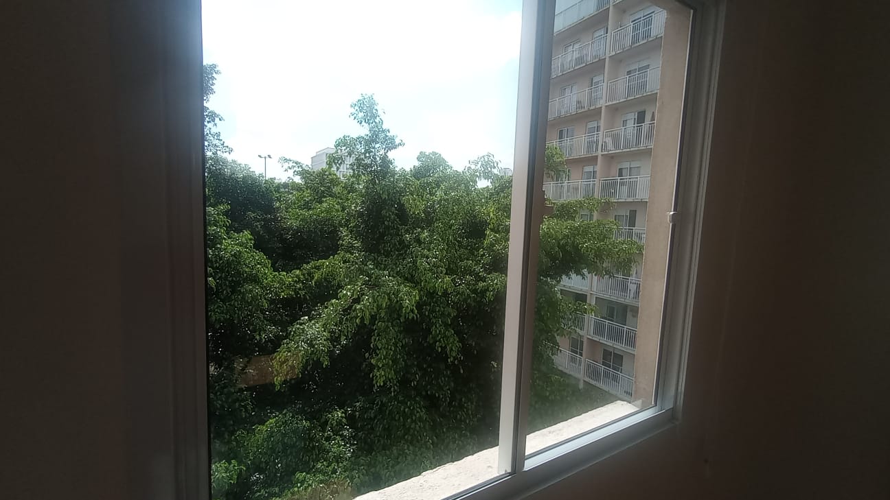Imagem 1